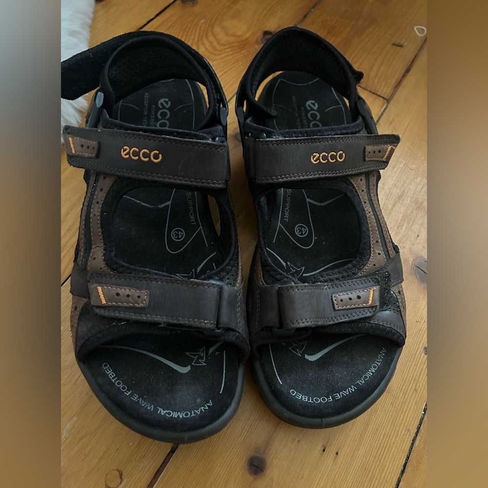 Dark brown Ecco has some red to if they move beautiful